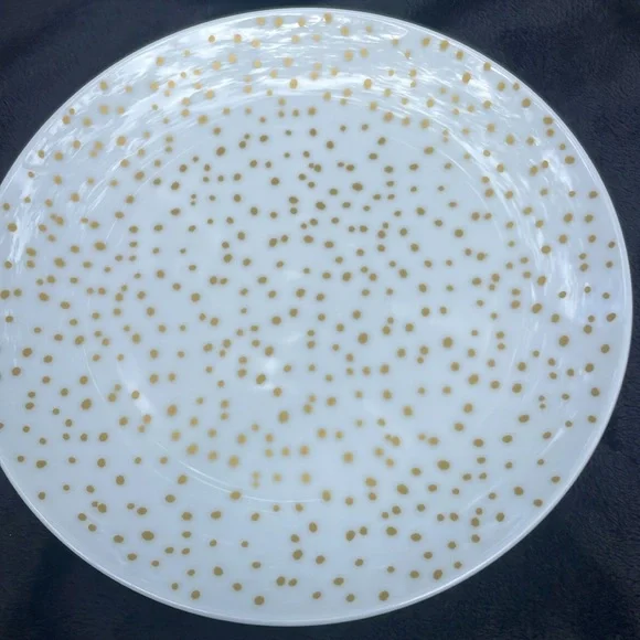 Threshold -  4 Porcelain Dinnerware Dish Plate Set Dish NWOT - Picture 4 of 7